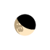 Partial Lunar Eclipse icon